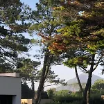 Casa De Santo Antonio * 莫莱杜