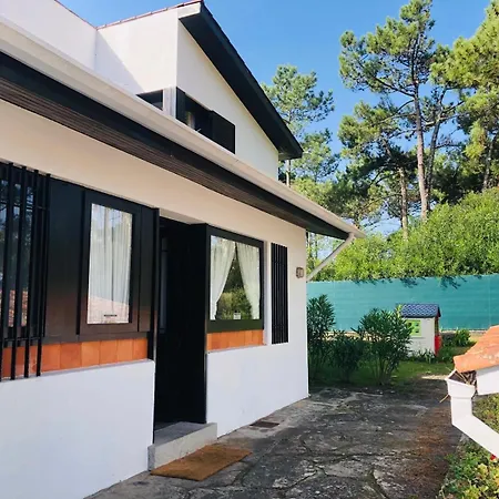 Casa De Santo Antonio Moledo * Moledo (Viana do Castelo)